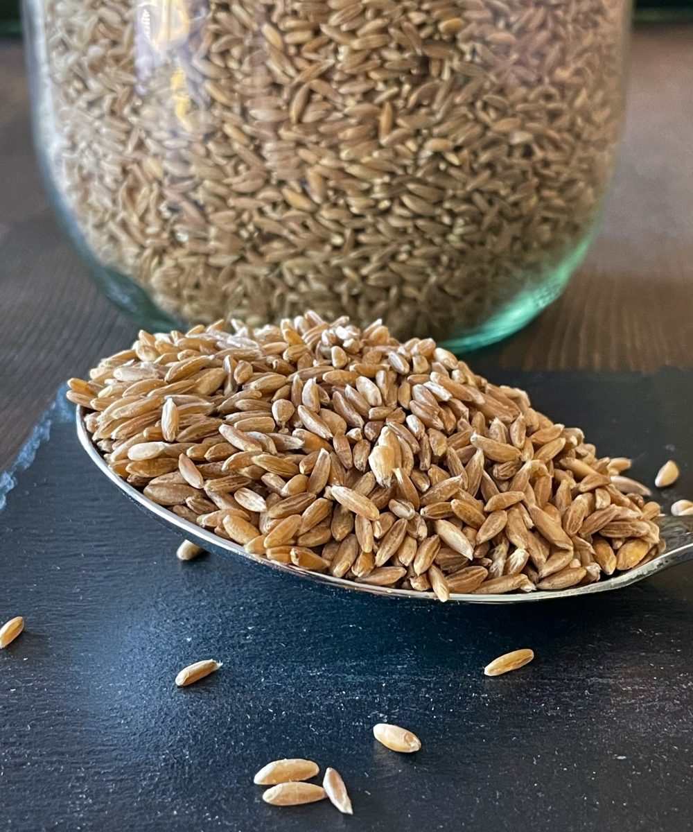Farro perlato biologico
