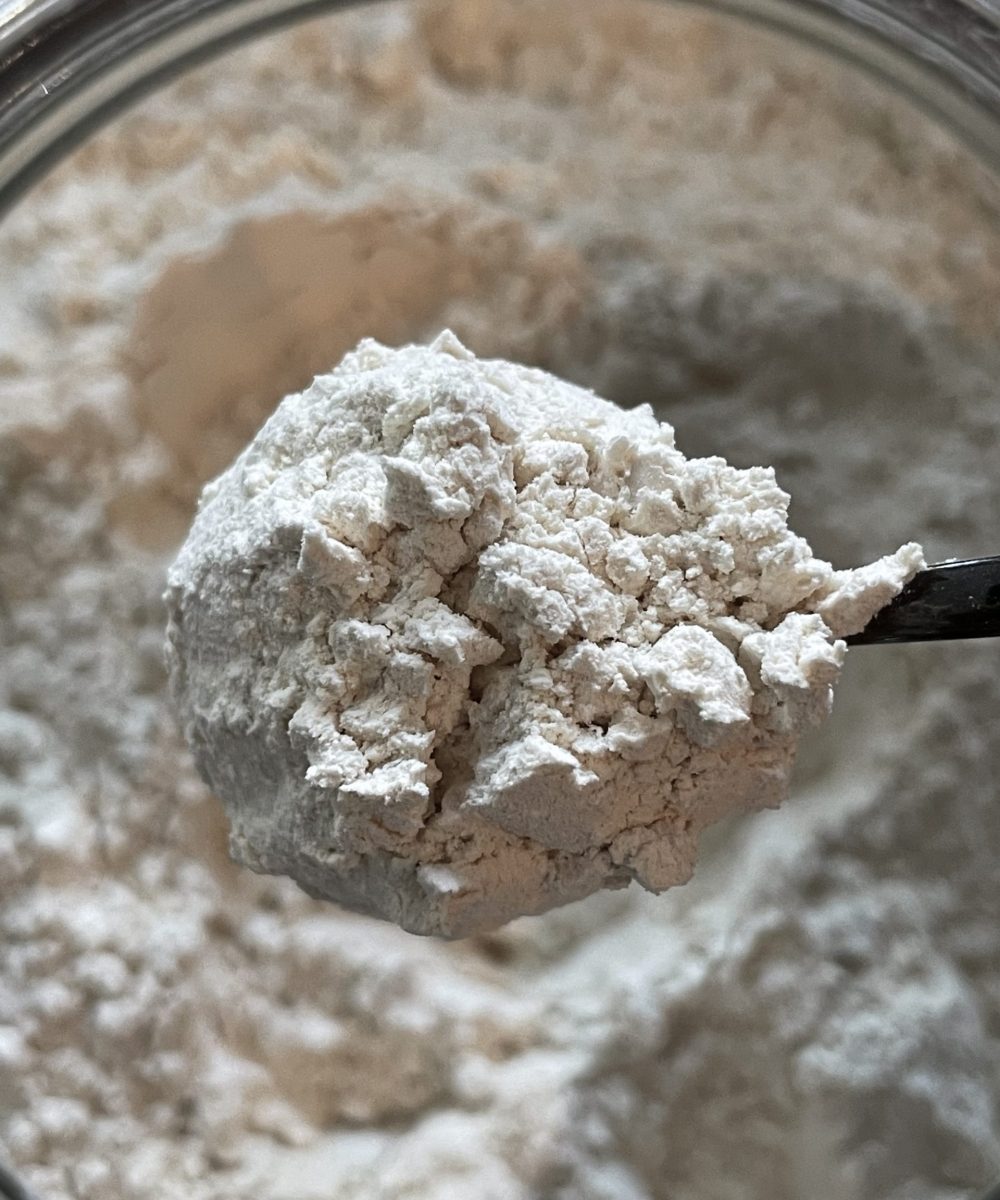 Aglio in polvere biologico