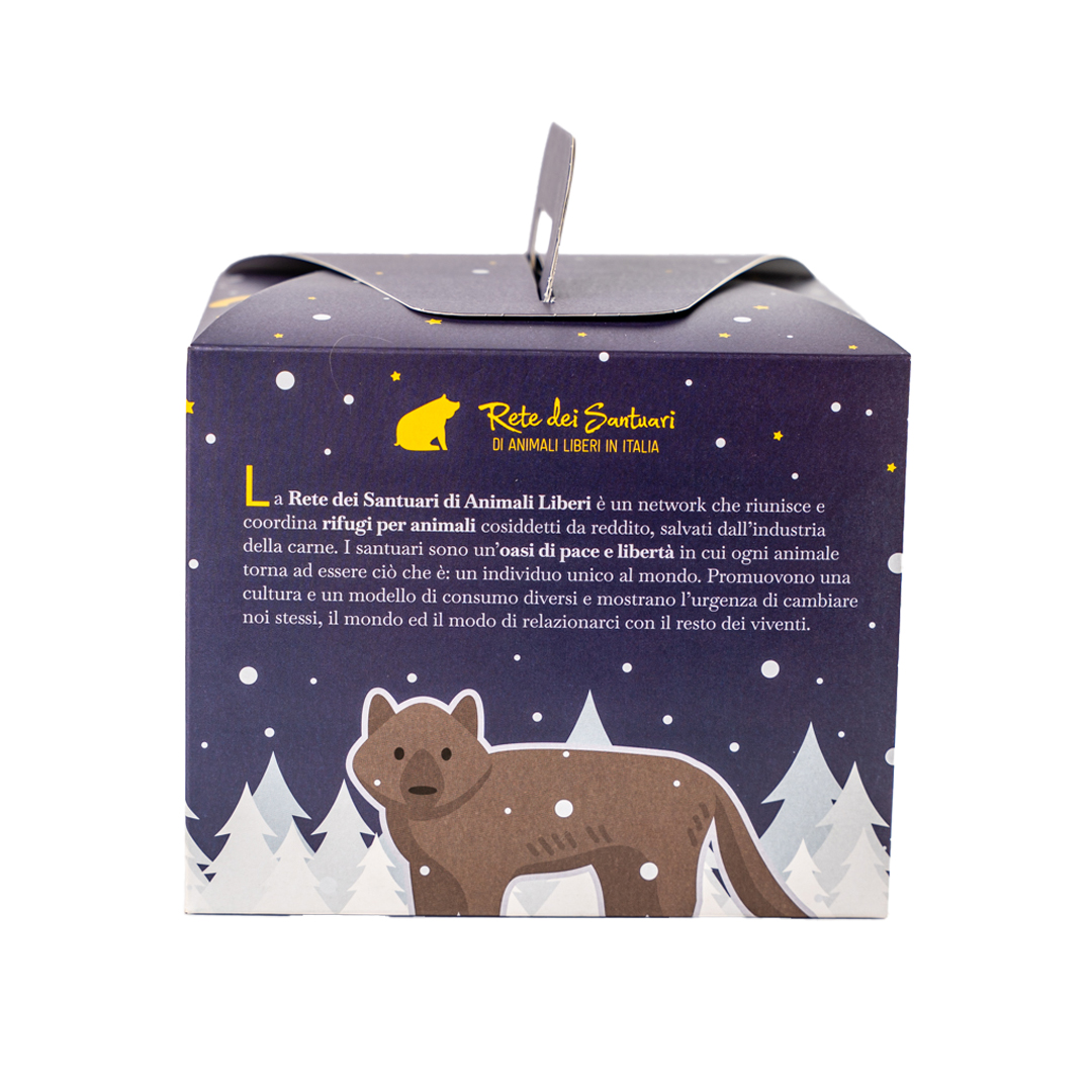 PANETTONE Rustico con noci, fichi e uvetta - artigianale - immagine 5