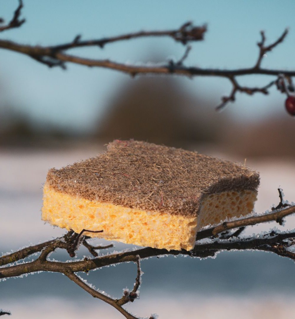 Alternative view of Spugna in sisal naturale - Pandoo